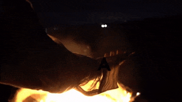 Aho Elsenderodelchaman Asisea GIF