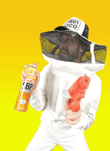 Honey Bee Fly GIF - Find & Share on GIPHY