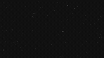 Ai GIF