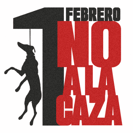 Galgos GIF by Plataforma NAC