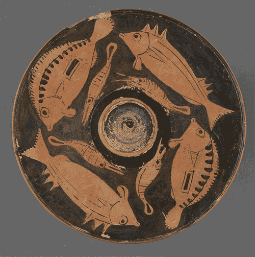 Nemomuseum GIFs Get the best GIF on GIPHY