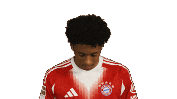 Fc Bayern Sticker by Bundesliga