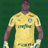 Puma Serio GIF by SE Palmeiras
