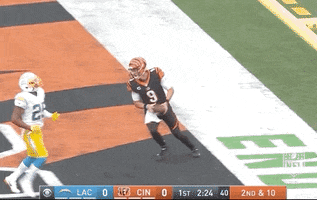 Touch Down Regular Season GIF by NFL