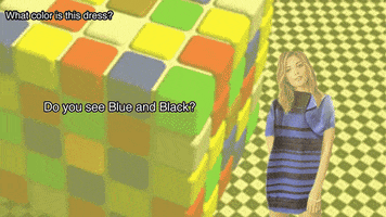 gubdaily thedress disambiguating GIF