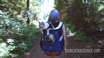 GIF by Your Cat Backpack