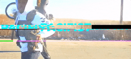 Pacifist GIF