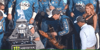 Best Of Racing GIF by NASCAR