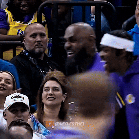 Lebron James Nba GIF