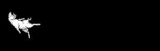 TASTE AGENCIA GIF