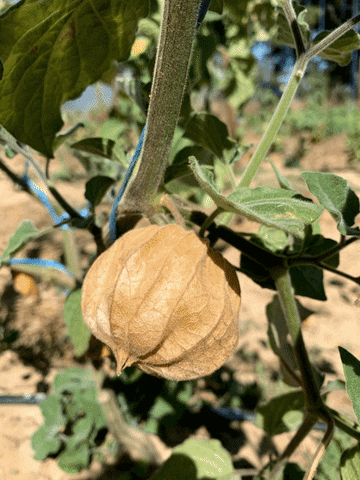 Equal Food GIF