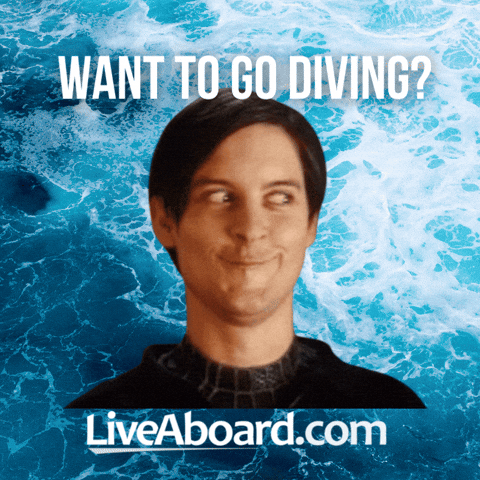 Dive Diving GIF by Joaquin Ferrando