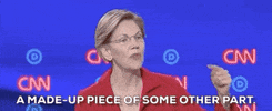 Elizabeth Warren Dnc Debates 2019 GIF by GIPHY News