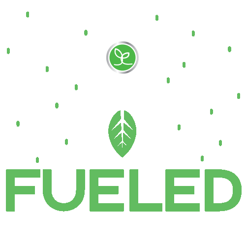 Touchstone Essentials GIFs on GIPHY Be Animated