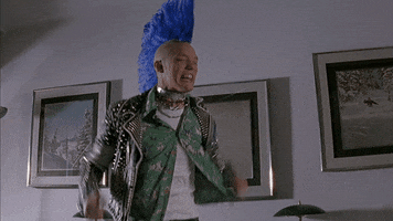 Bird GIF