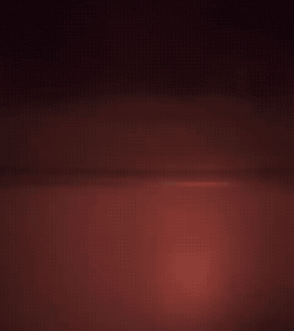 Spring Cleaning GIF