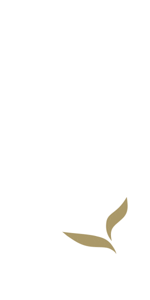 Summer Coffee Sticker by Qinwan Dates