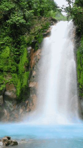 Waterfall Scenery Wallpaper GIF