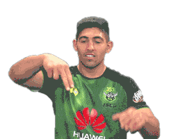 HuaweiMobileAu Sticker