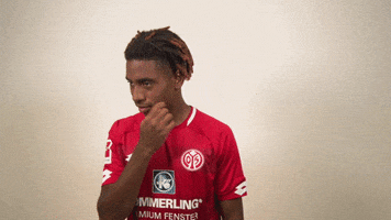 Leandro Barreiro Martins GIF by 1. FSV Mainz 05