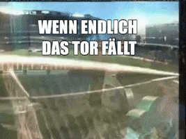 R.SA Sachsen GIF