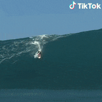 Surf Fail GIF by TikTok Italia