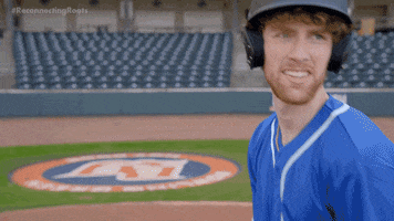 World Series Sport GIF by Reconnecting Roots