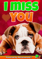 Henlo Hooman Fren GIF by PetJuvenate - PJ