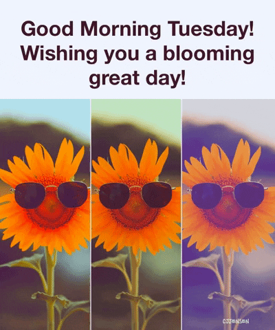 Good Morning Tuesday GIF