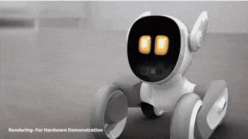 Animated GIF