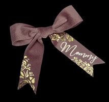 Pink Bow GIF by Ribbon England