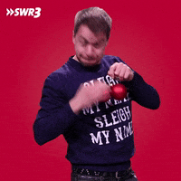 Merry Christmas GIF by SWR3