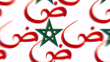 North Africa Star GIF