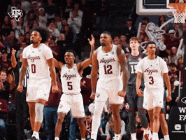 Bucky Ball Whoop GIF by Texas A&M Athletics