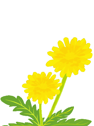 Dfmwr Sticker by FLW MWR - Army