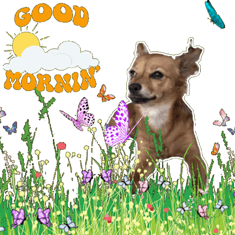 Good Morning Cute Dog Sticker by Breathing Room