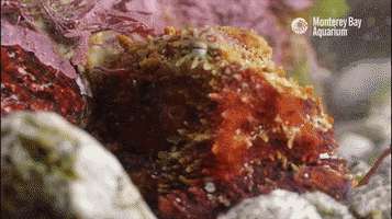 200.gif?cid=fc005b086ec407c3f304edd82caaca0aa81fbf81f0c05a93&rid=200.gif&ct=g