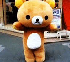 teddy bear dancing GIF