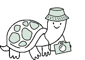 Illustration Photo Sticker by Pancha By Flor Bertotti