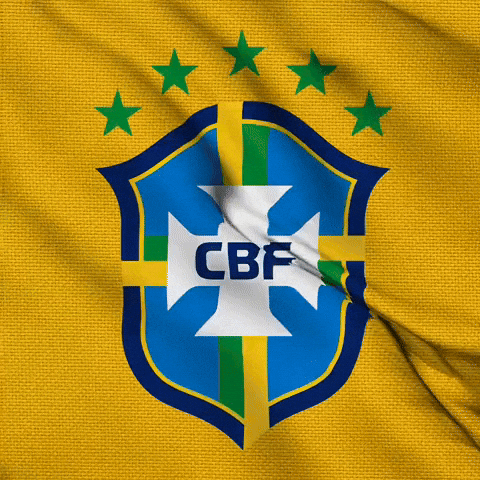 Fifa World Cup Brazil GIF