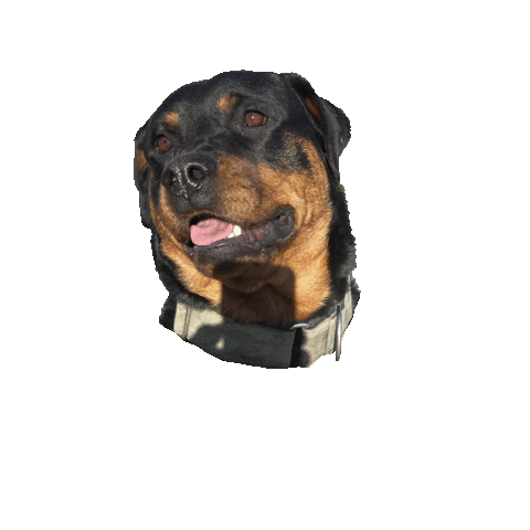 FUTTERMACHER Sticker