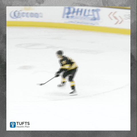 Boston Bruins GIF by Providence Bruins