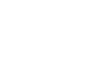 Horse Dressage Sticker