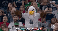 Eagles-fans GIFs - Get the best GIF on GIPHY