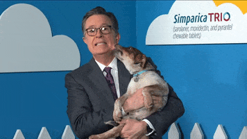 Stephen Colbert Dogs GIF by The Late Show With Stephen Colbert