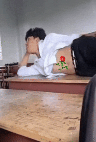 Kasc GIF
