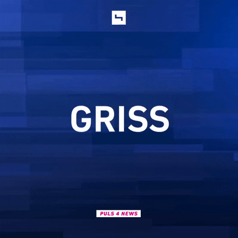 puls4news  GIF