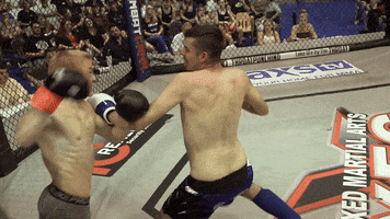 Fight Fighting GIF by New Line Cagefighting