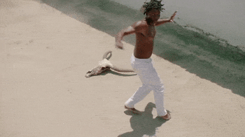 Capoeira GIF