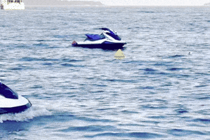 Chien Jetski GIF